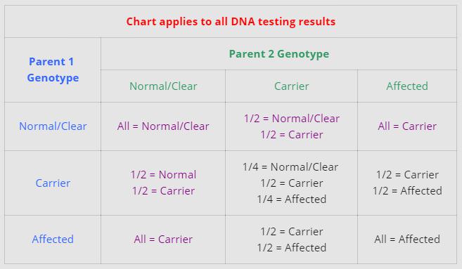 DNA Testing