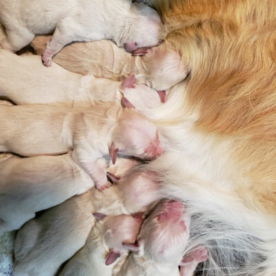 just-born just-born
