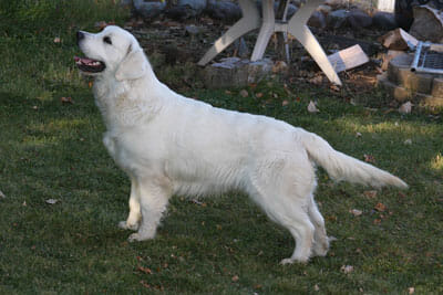IMG_8893 IMG_8893