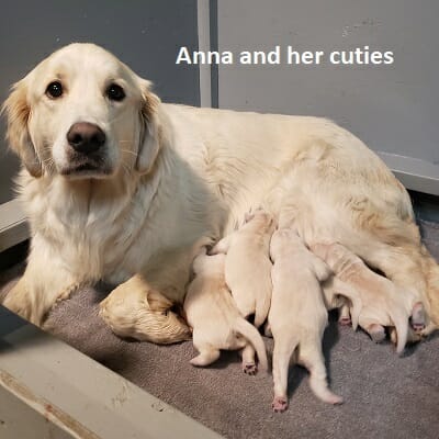 anna anna